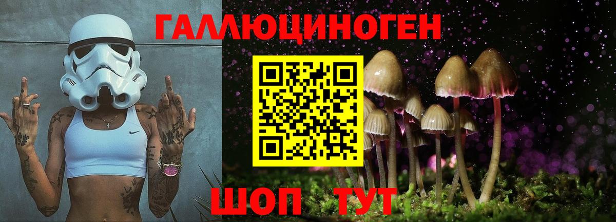 Псилоцибиновые грибы мухоморы  Вход с VPN  Псилоцибиновые грибы Psilocybe  Ейск 